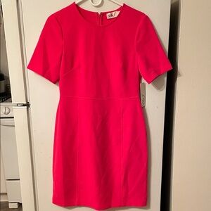 Eliza J‎ NWT $148 Size 6 Vibrant Pink Dress